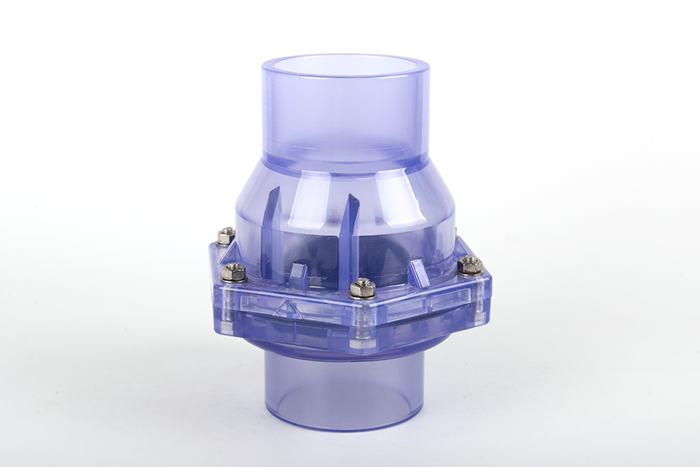 大新透明翻板式止回阀